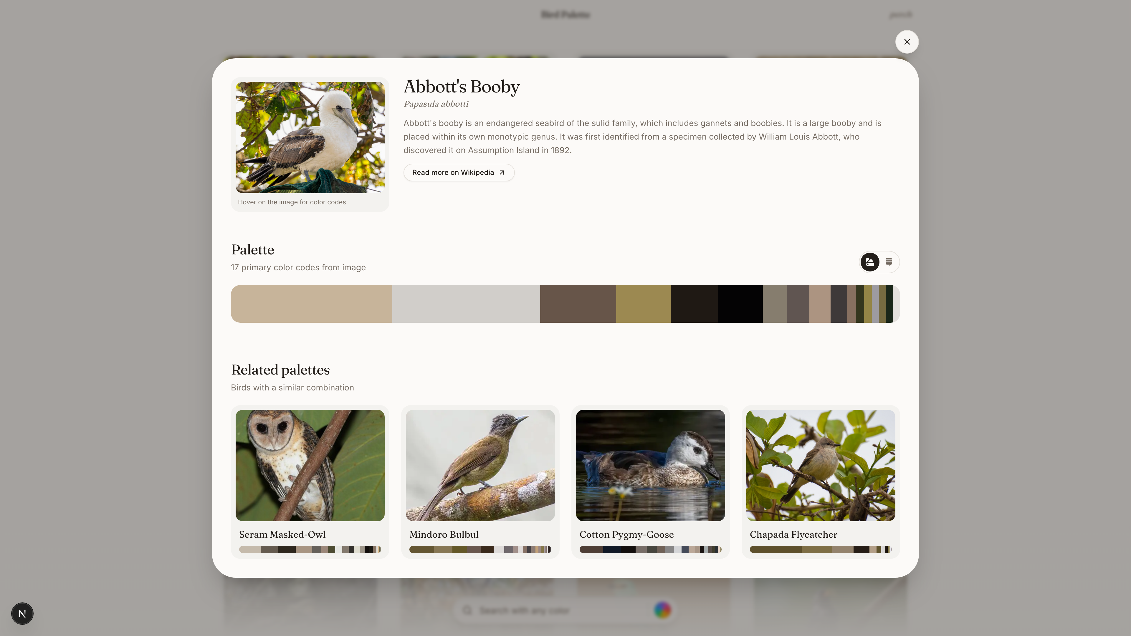 Bird detail with palette study and photo sampling