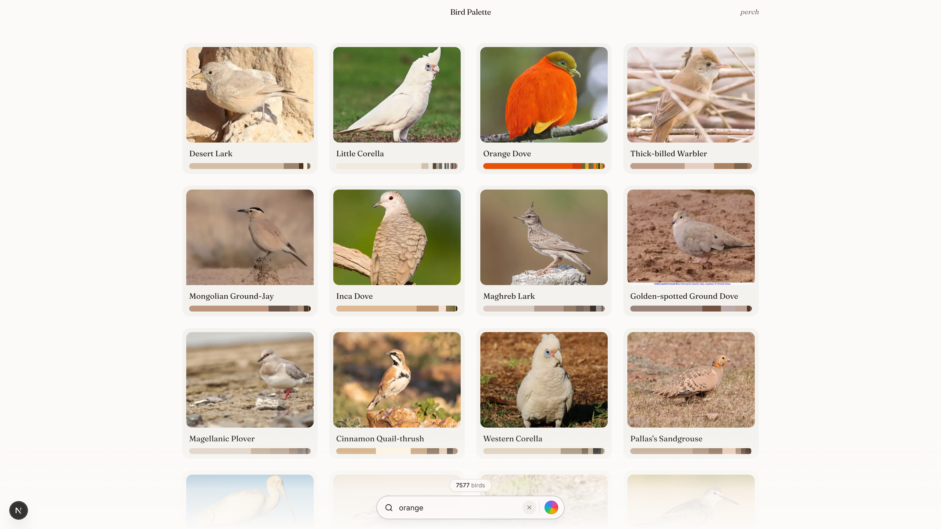 Search results filtered by orange